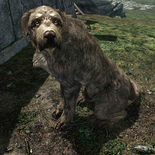 skyrim dog