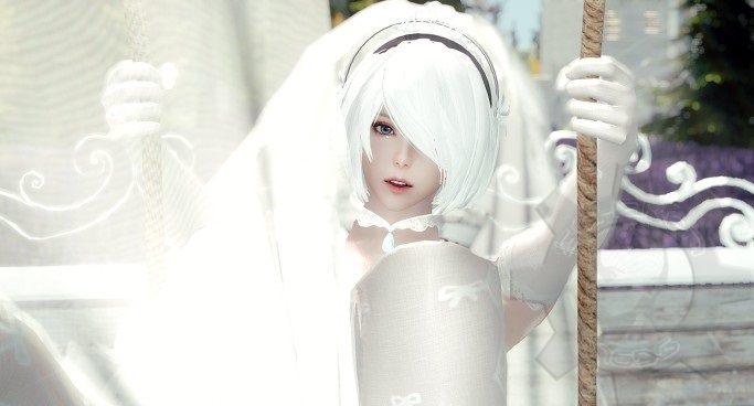 skyrim se 2b