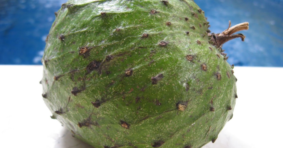 soursop perth