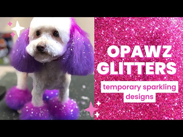 sparkling dog groomers