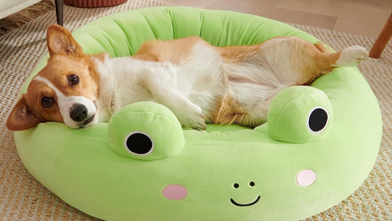 squishmallows bed