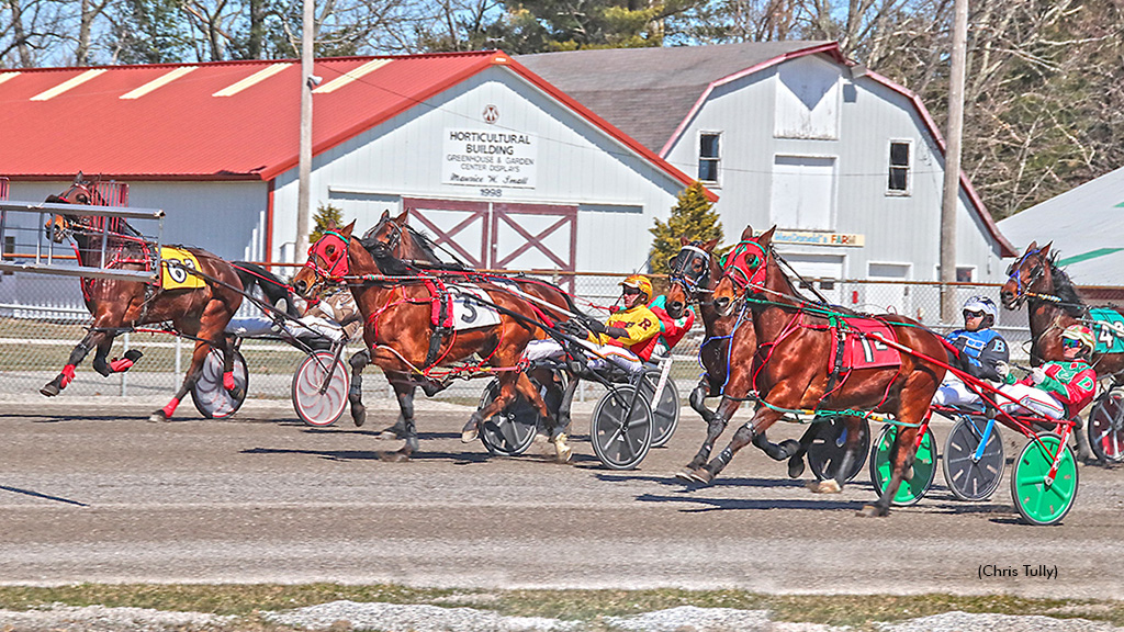 standardbred canada entries