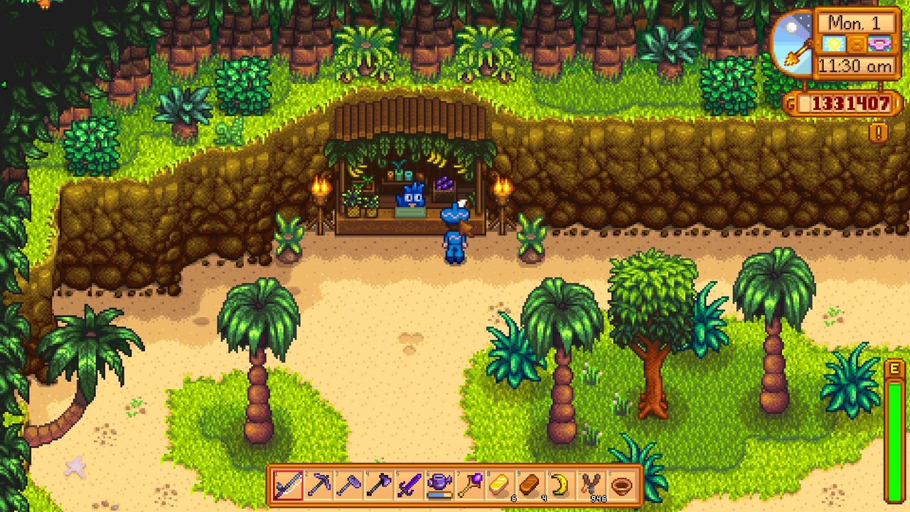 stardew valley island guide