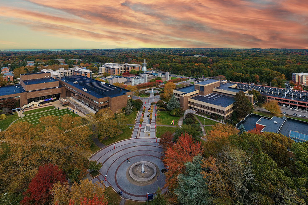 stony brook it