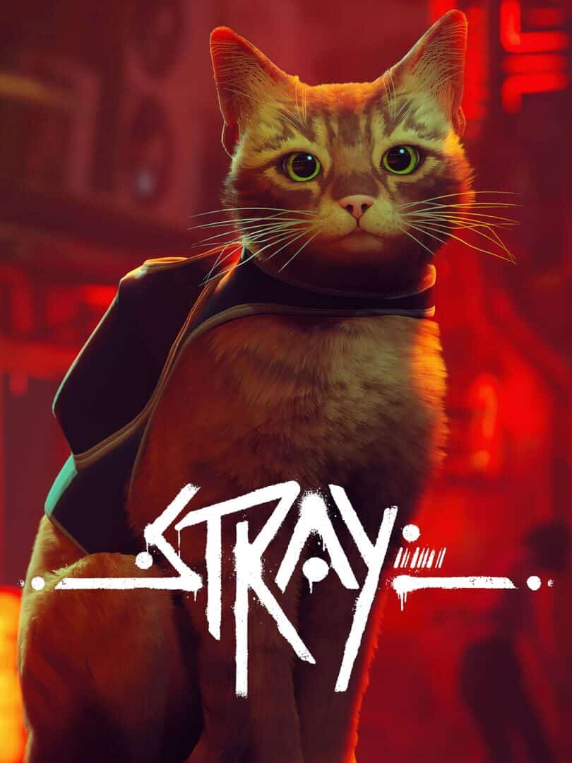 stray cd keys