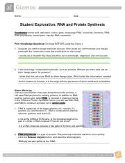 student exploration rna and protein synthesis