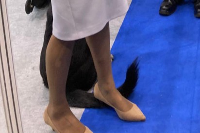 suella braverman stands on dog