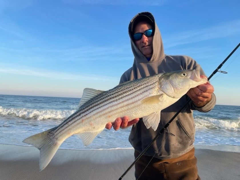 surf fishing report lbi nj