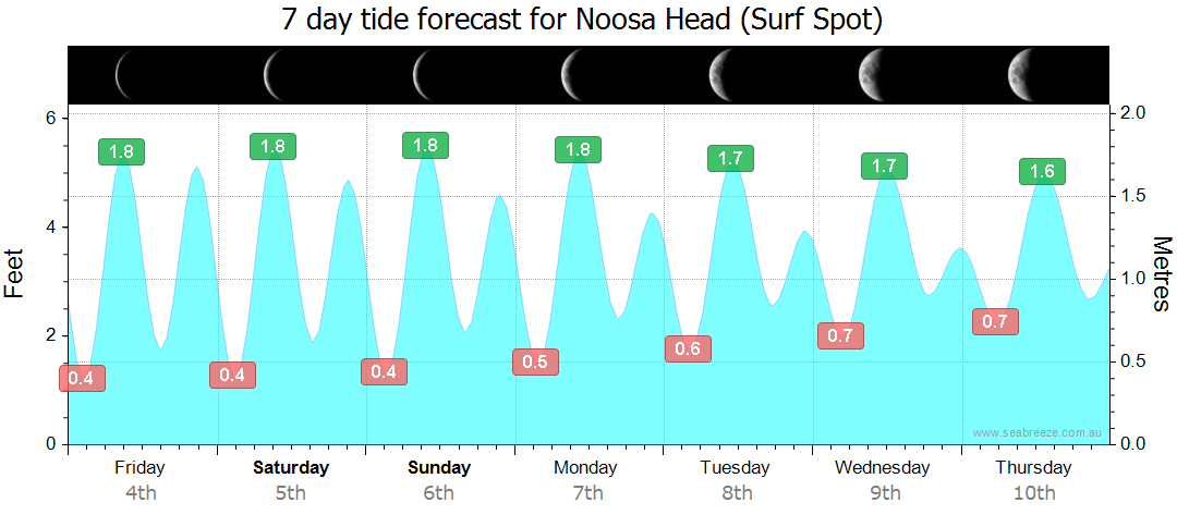 surf forecast noosa heads