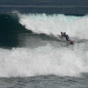surfer magazine forum