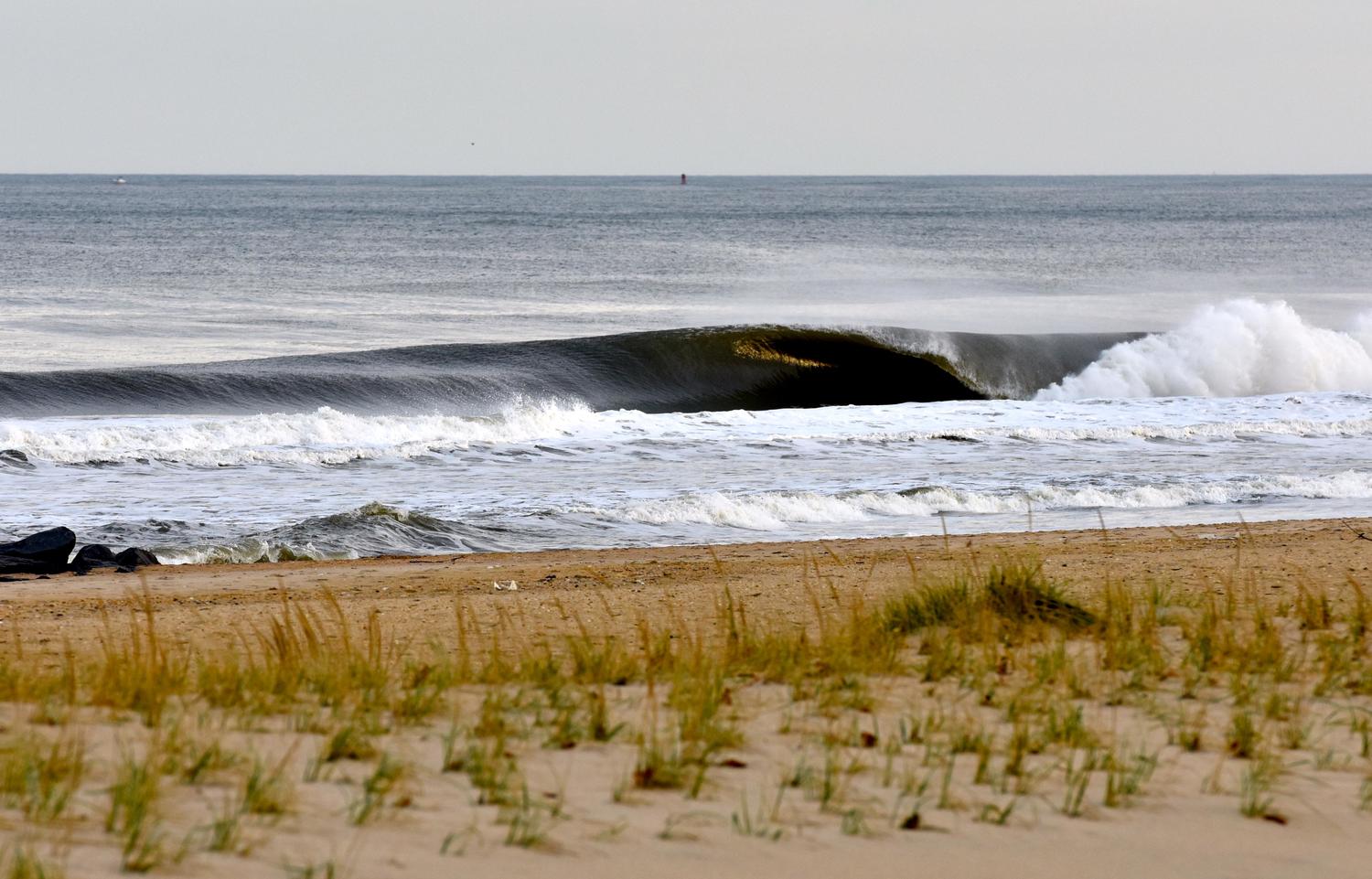 surfline ocean city nj