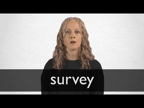 survey synonym