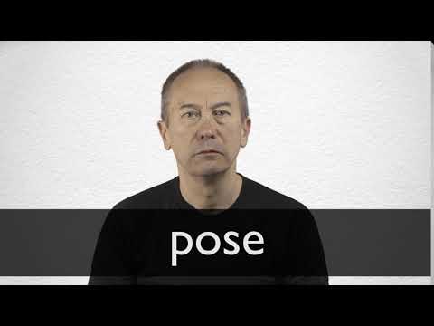 synonyms for posing