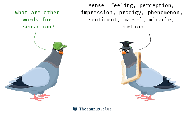 synonyms of sensation