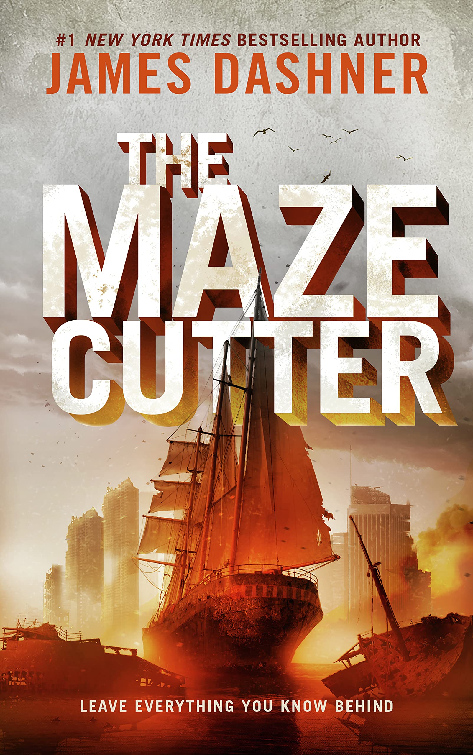 synopsis of the maze cutter