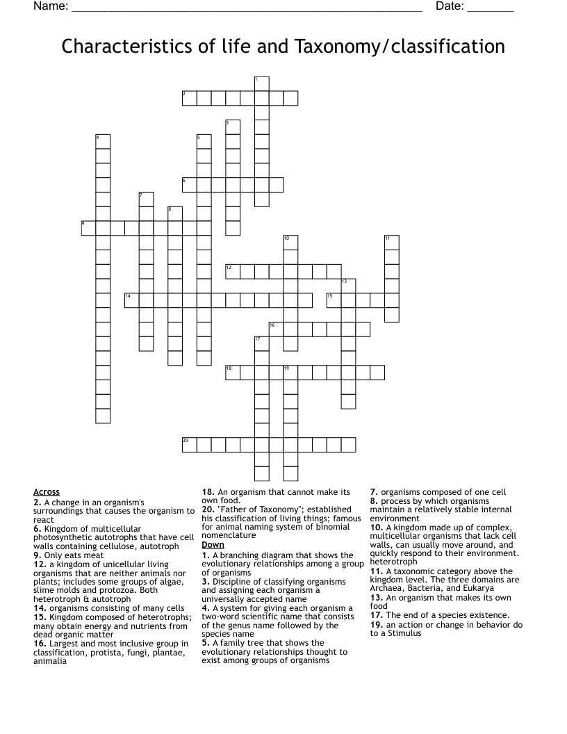 taxonomic category crossword