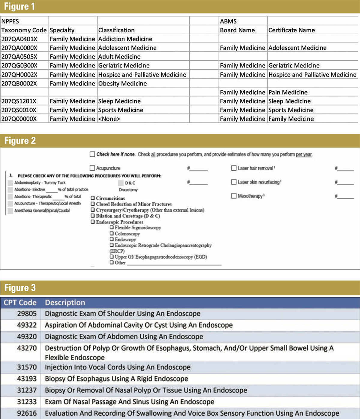 taxonomy code 207q00000x