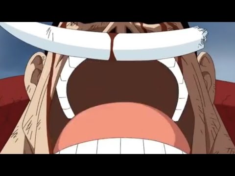 the one piece is real meme