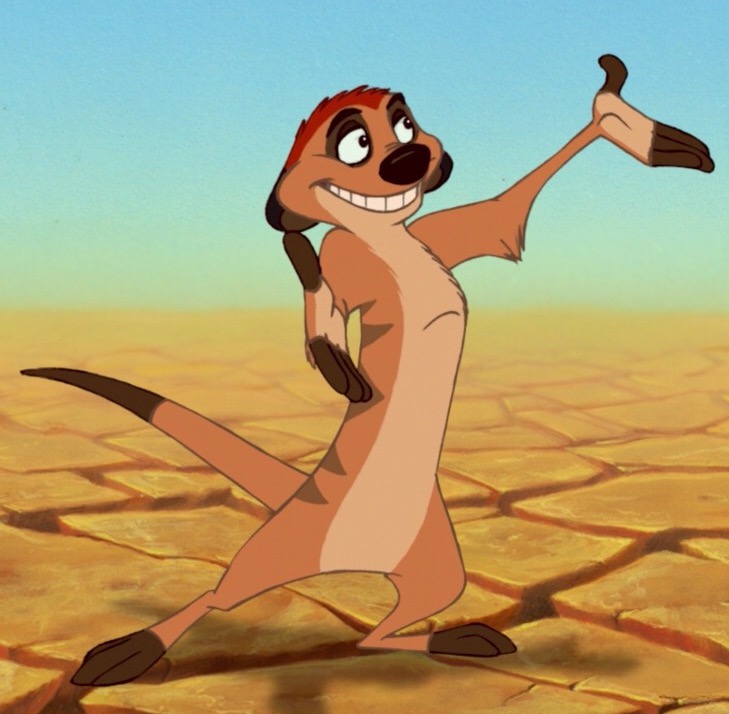 timon from lion king