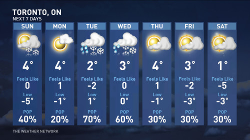 toronto hourly weather