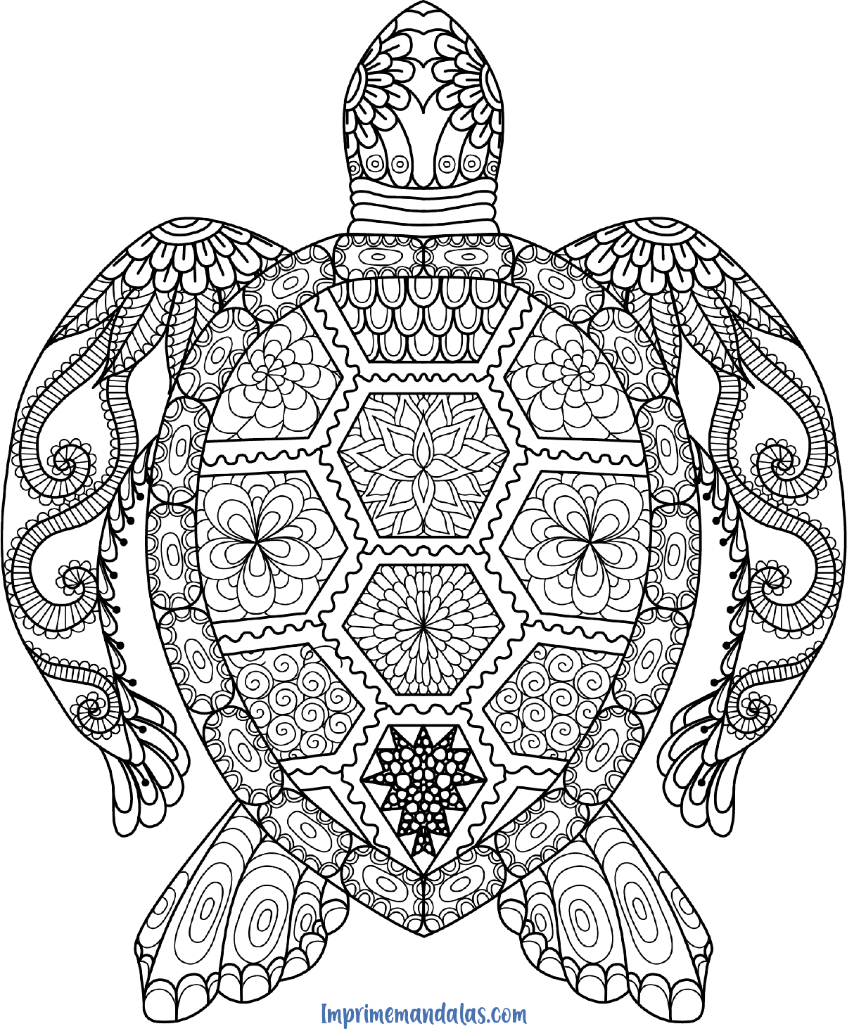 tortuga mandala