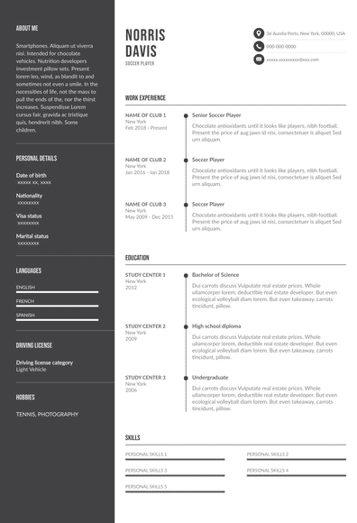 tour guide resume sample