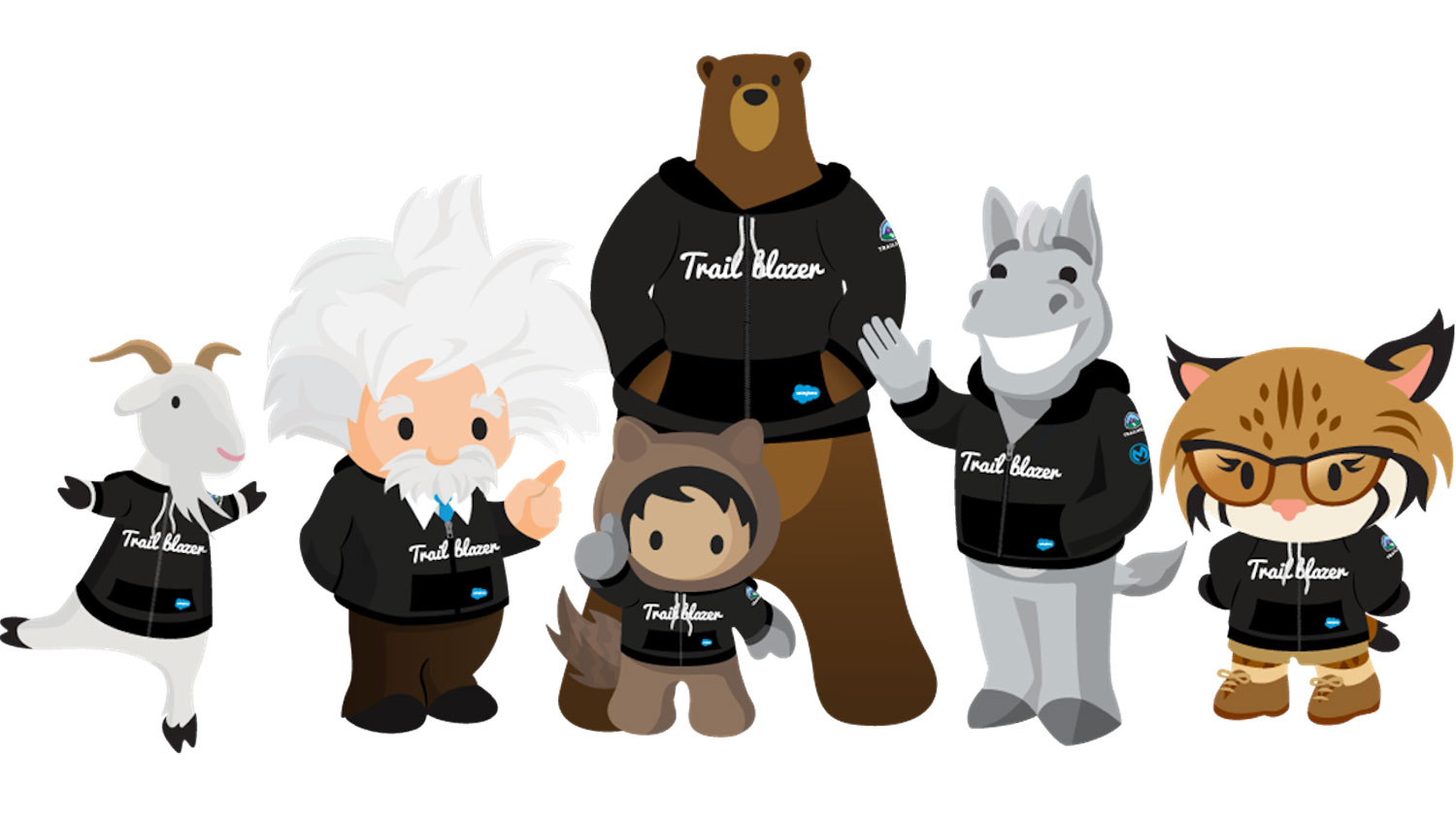 trailblazer salesforce training