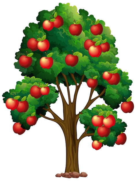 tree with fruits clip art