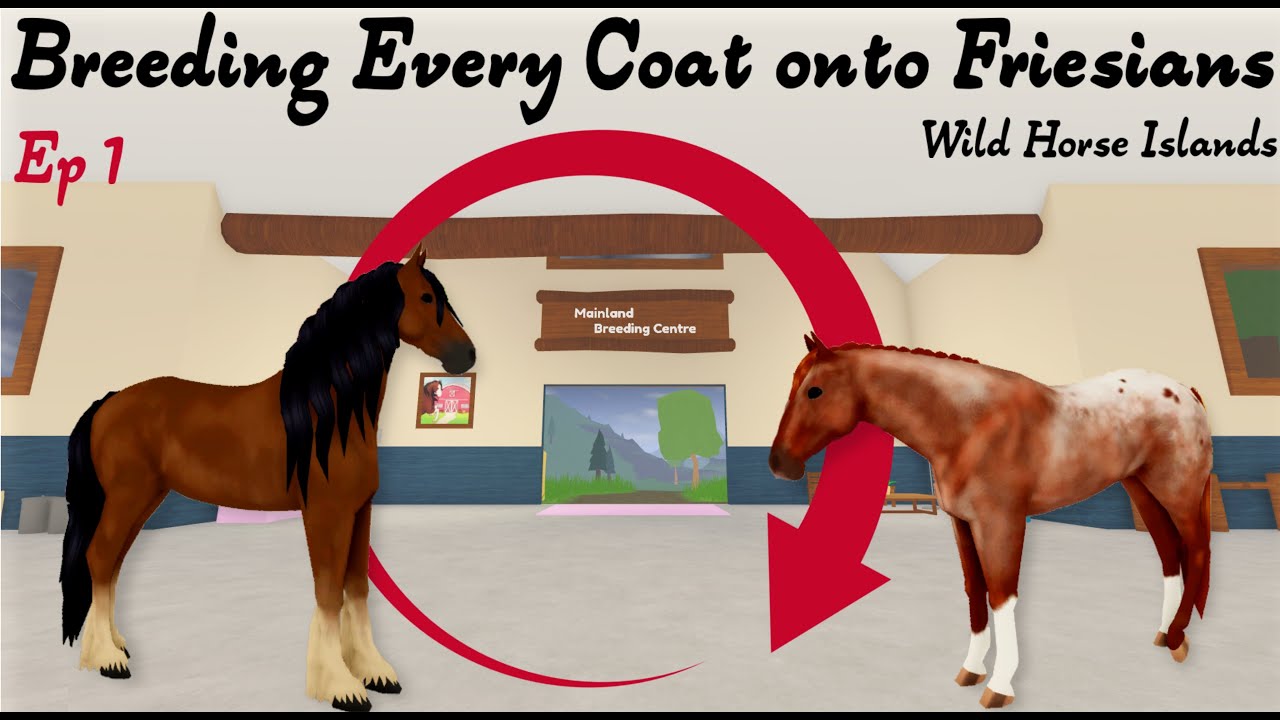 unique breeding wild horse islands