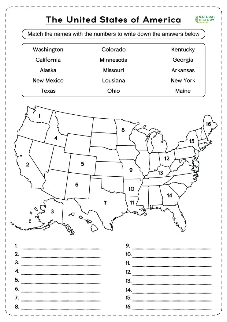 united states map worksheet