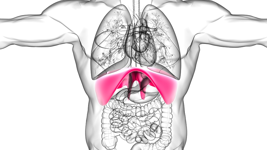 upper abdomen muscle spasm