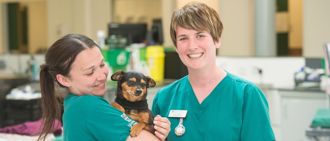 veterinary nurse jobs glasgow