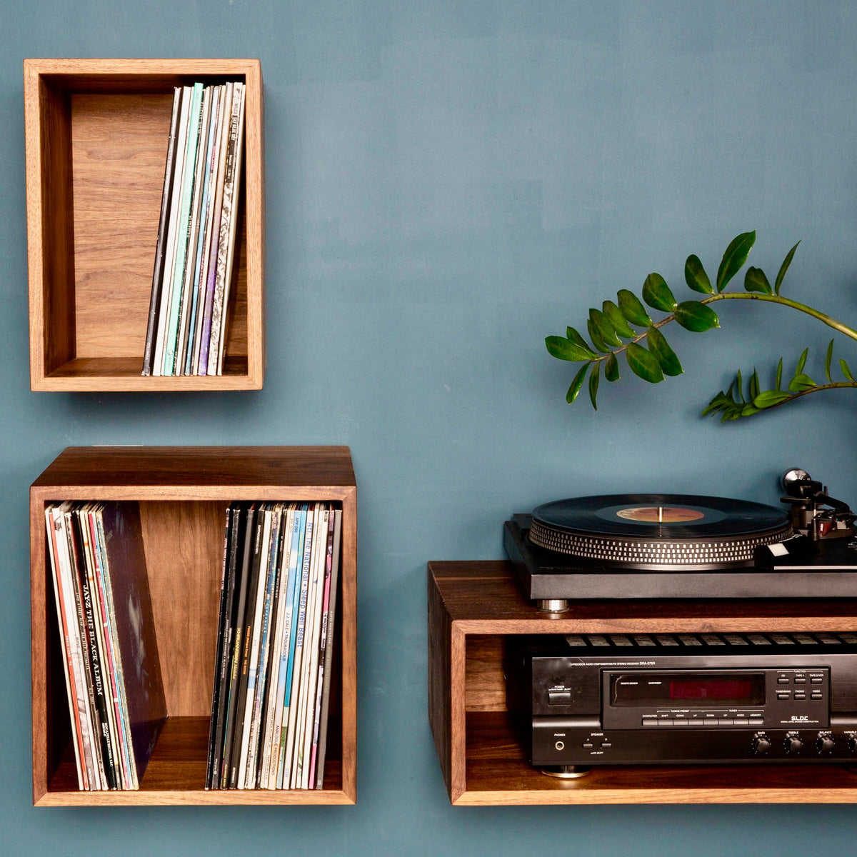 vinyl album shelf