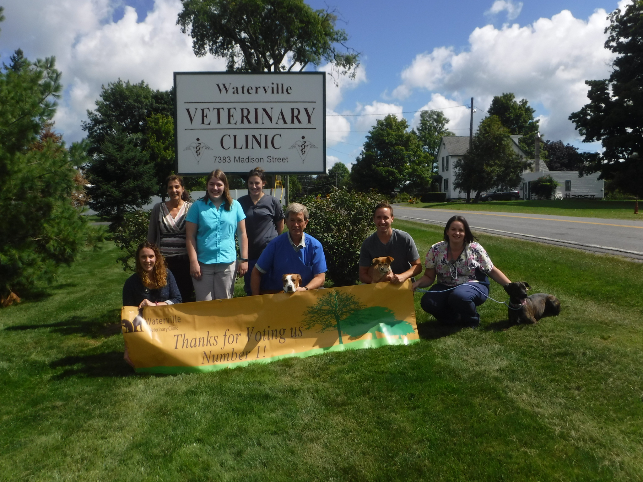 waterville veterinary clinic maine