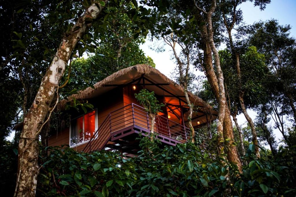 wayanad tree house low price