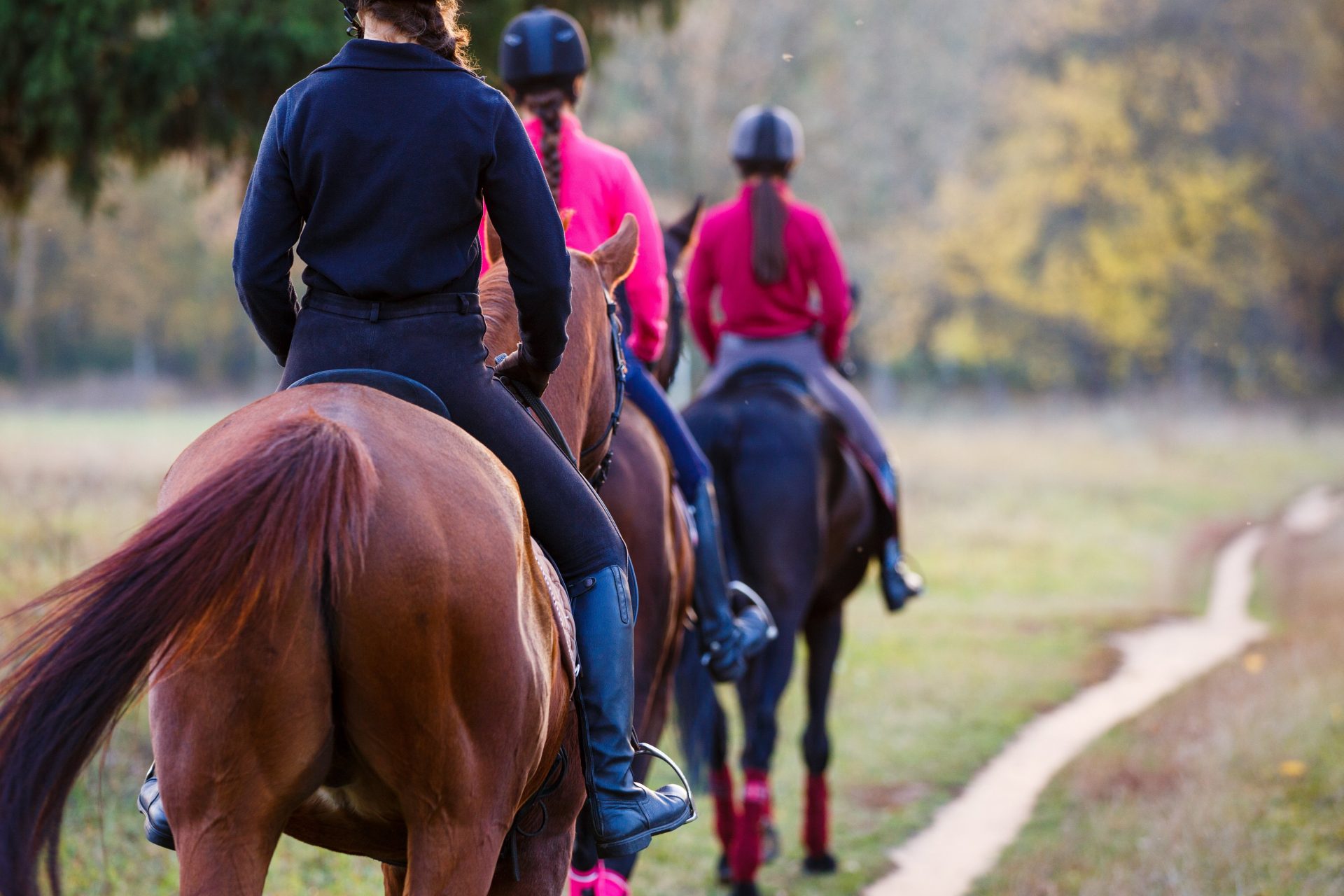 western trails horseback riding norco