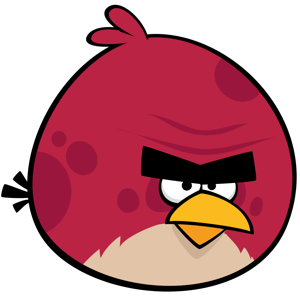 what did terence from angry birds do