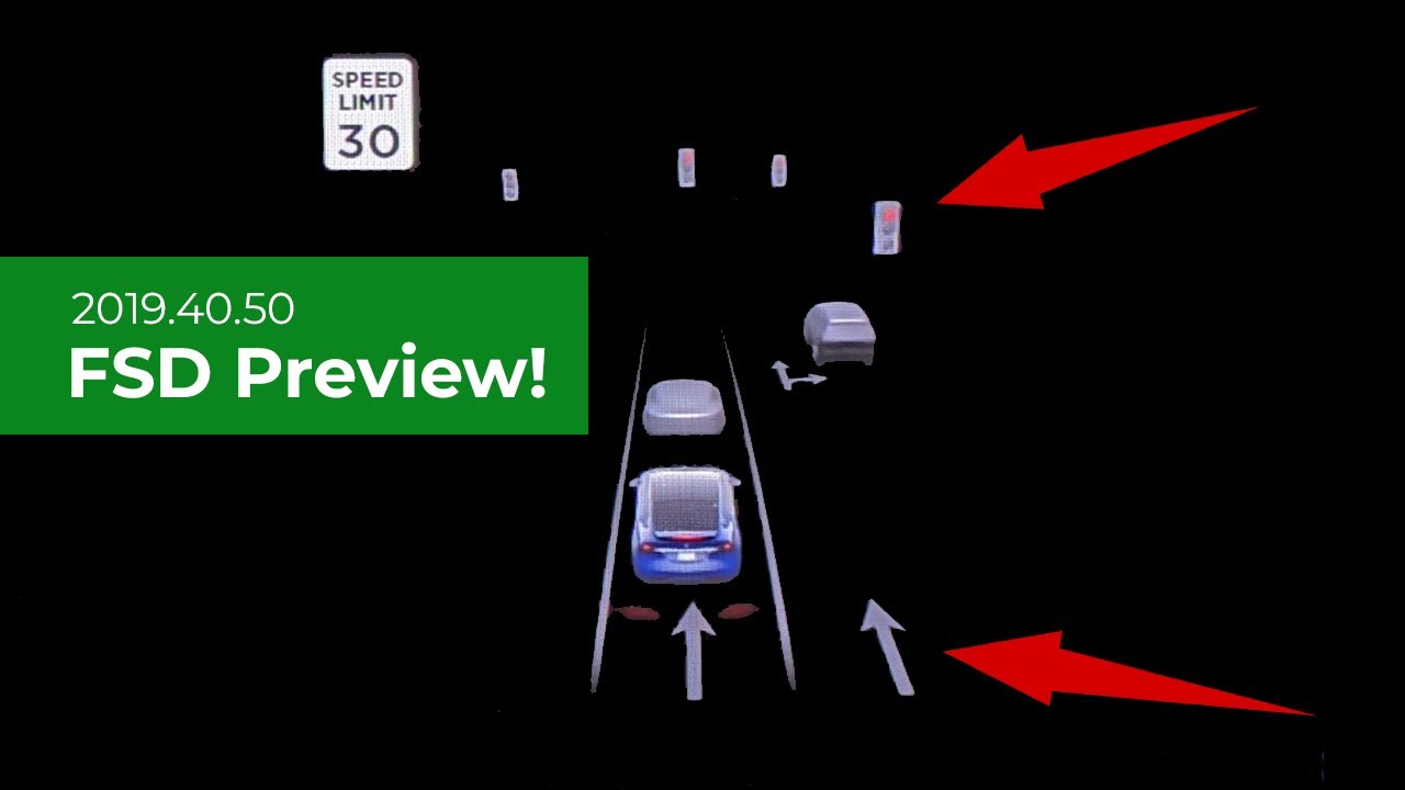 what is full self driving visualization preview