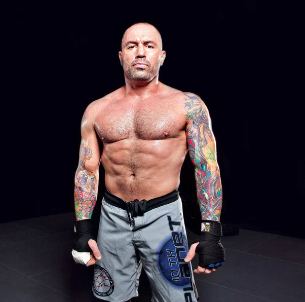 when did joe rogan start ufc