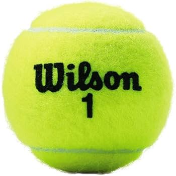 wilson 4 ball price