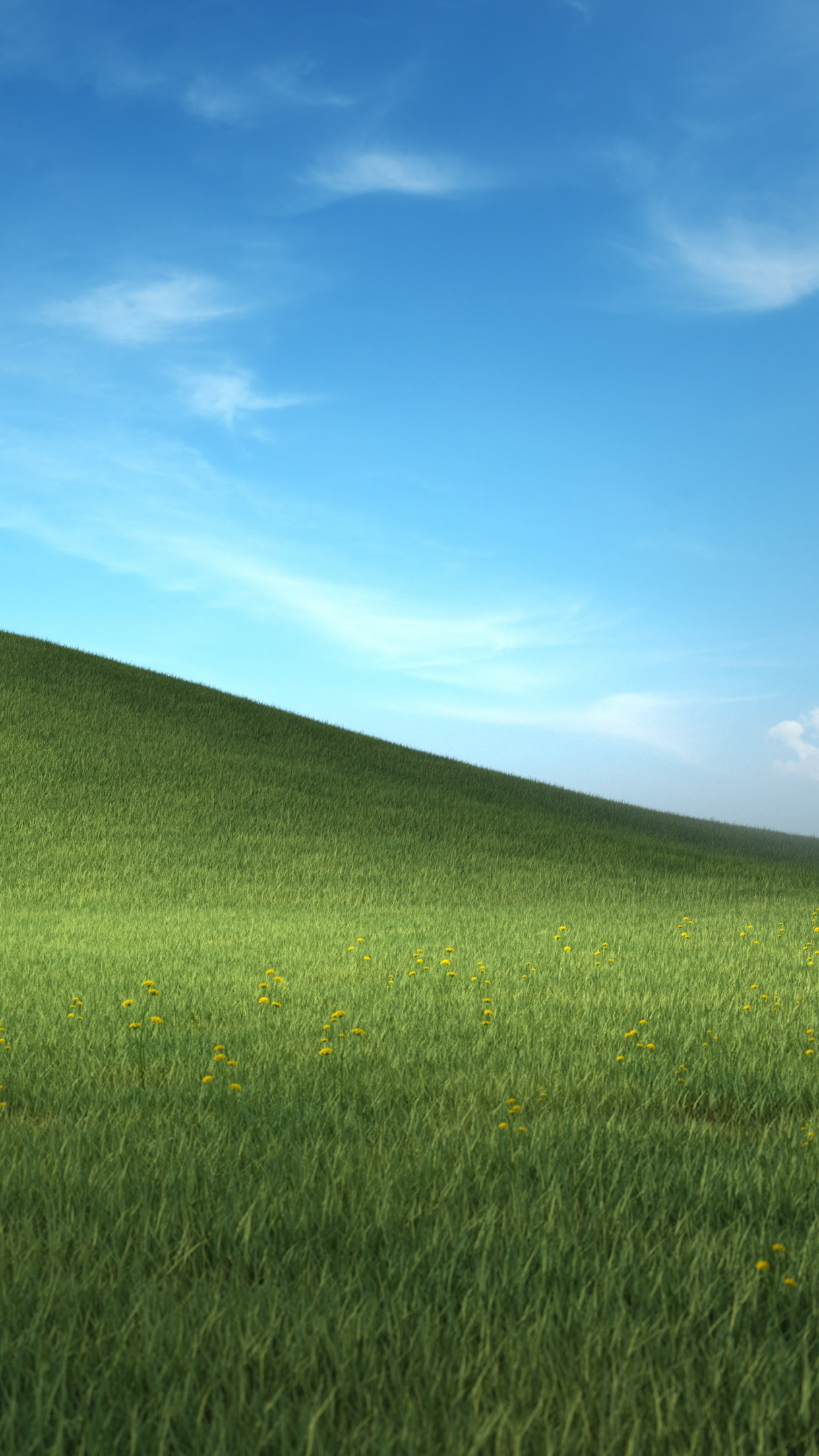 windows xp 4k wallpaper