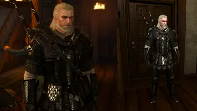 witcher 3 armor mod