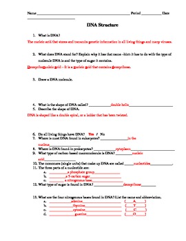 worksheet on dna answer key