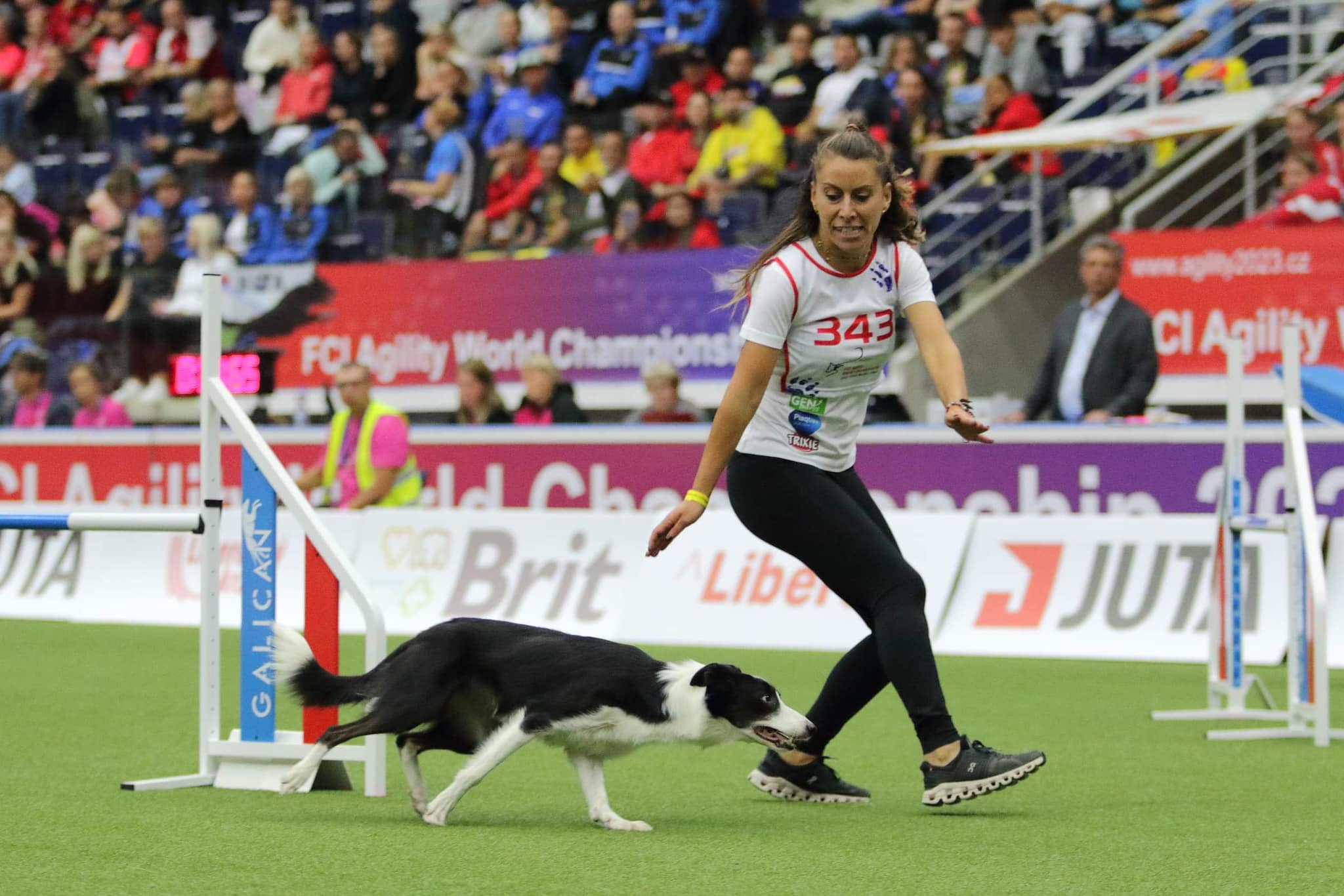 world agility open 2023