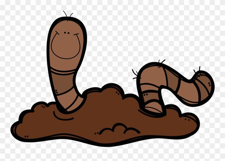 worm vector png