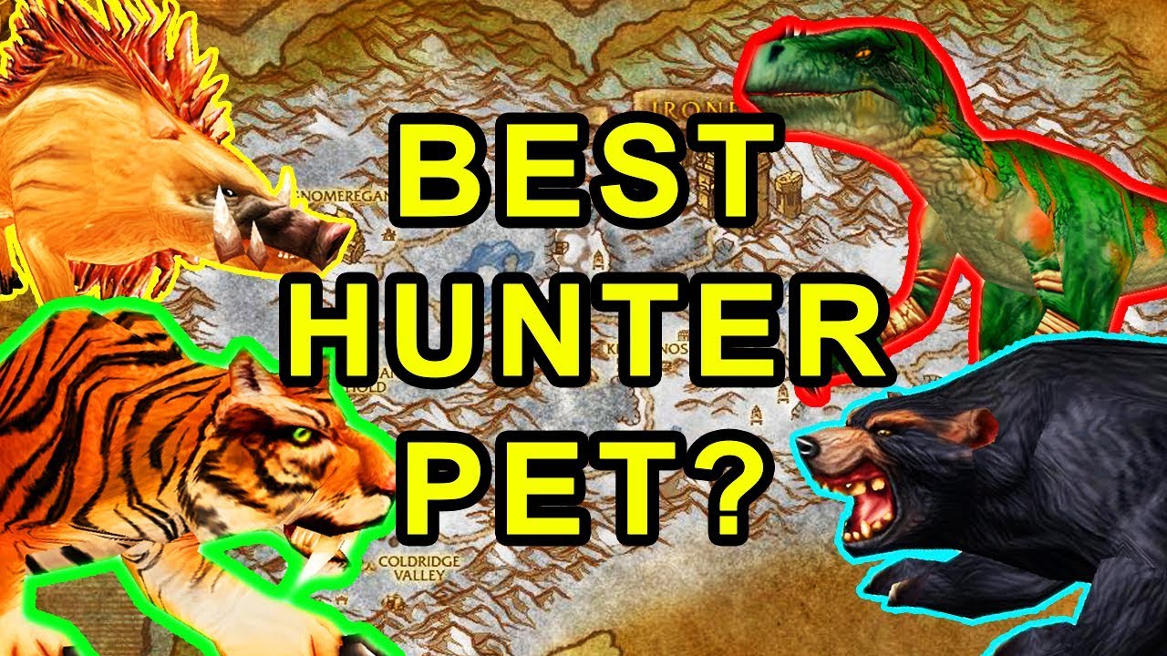 wow classic hunter pets