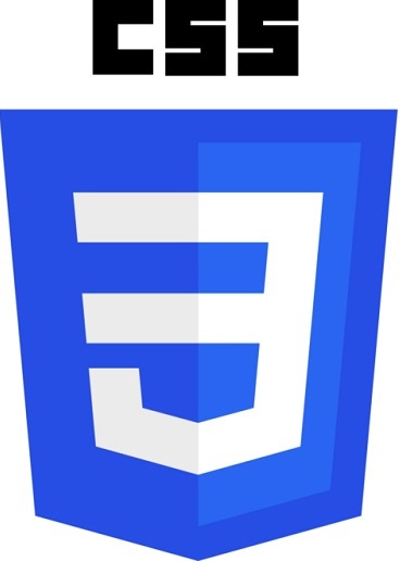 www w3schools com css