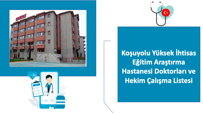 yüksek ihtisas doktor çalışma listesi