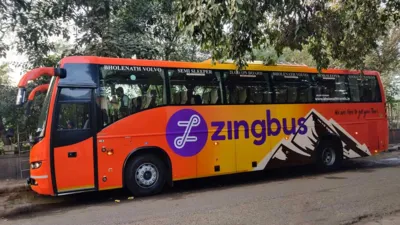 zingbus chandigarh